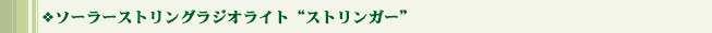�\�[���[�X�g�����O���W�I���C�g�g�X�g�����K�[�h