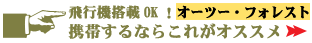 �C�O���s�Ɍg�тł���I�[�c�[�E�t�H���X�g