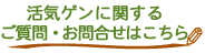 ���C�Q���Ɋւ��邨�⍇���E�������͂�����