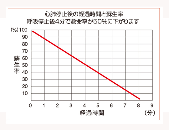 救急用人工呼吸器レスキューセット（酸素吸入器付） ODXF 成人用商品説明画像